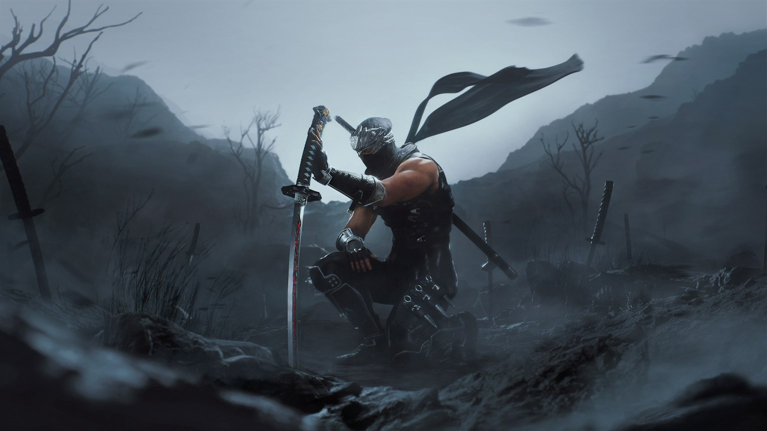 Ninja Gaiden II Black